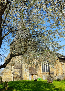 w256-20190624_213307eden ext