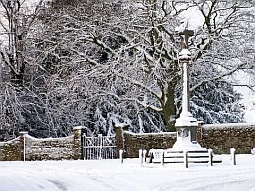 w255_Waldron20Dec2018_2009_20008