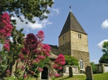 wstpeterlimpsfieldpx220